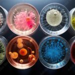 Microbial Biodiversity: The Invisible Ecosystem